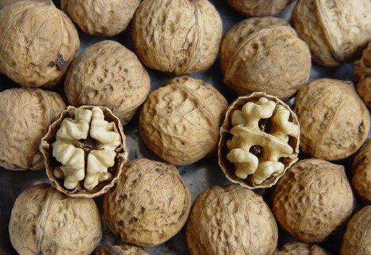 Small county builds biggest walnut industry