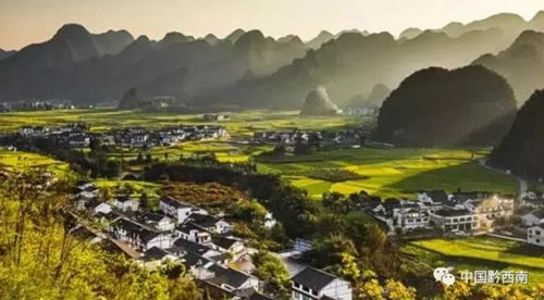 Yellow rapeseed sweeps Guizhou province