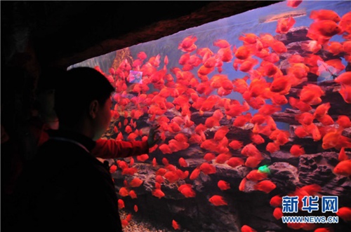 Autistic children experience flying in Guiyang