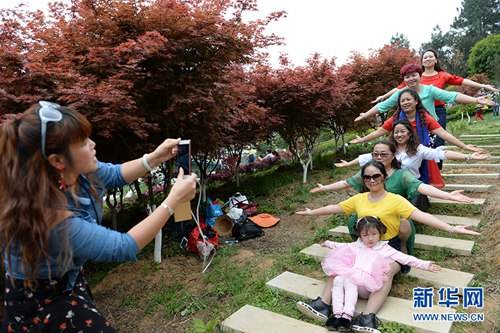 Reddening maple leaves attract visitors in Guiyang