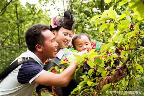Zhenning invites visitors to taste cherries