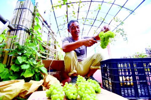 Green development runs through Guian New Area