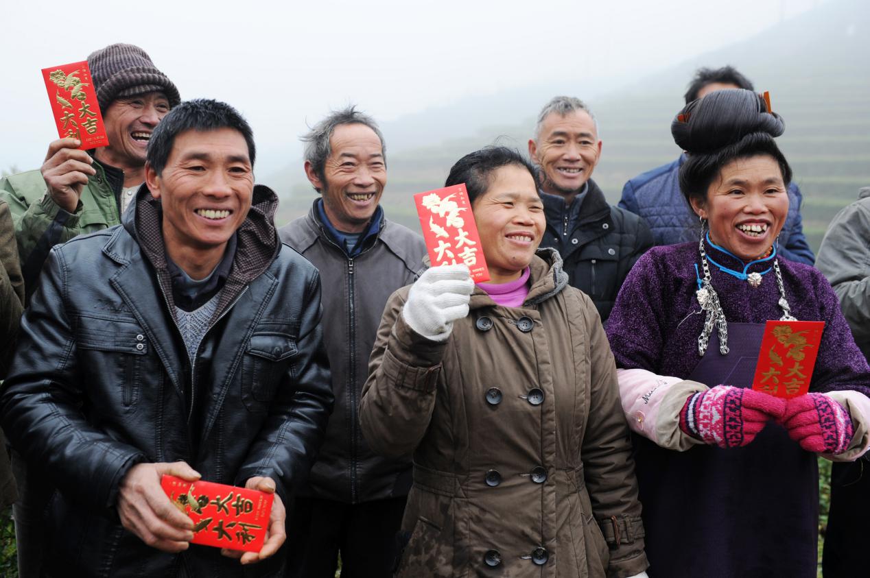 Danzhai Poverty Alleviation Tea Garden benefits farmers