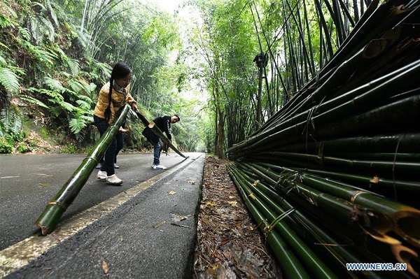 Pic story: inheritor of Chishui bamboo weaving in China's Guizhou