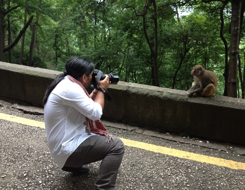 Harmonious living philosophy with nature