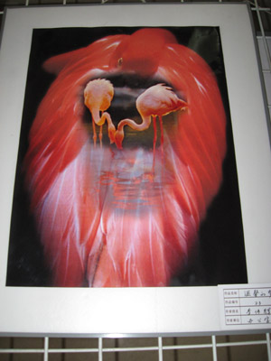 Expo held to celebrate Spring Festival