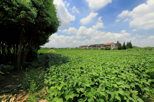 Tianfu village, inhabitable paradise on earth