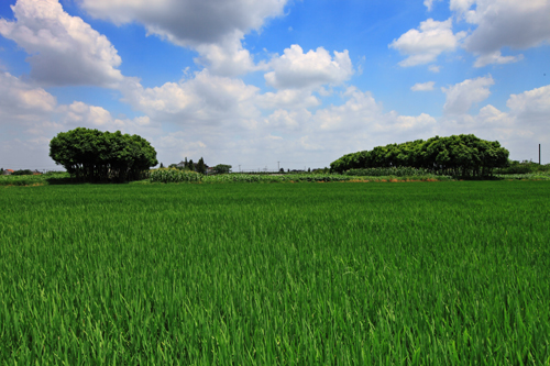 Tianfu village, inhabitable paradise on earth