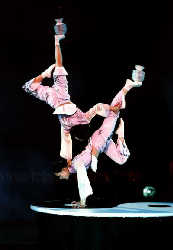 Wuhan Acrobatics Troupe