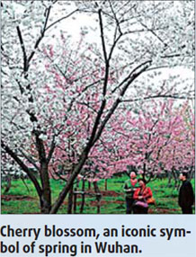 Things to do and see in Wuhan