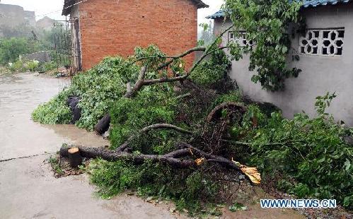 Tornado, rainstorm hammer China's Wuhan