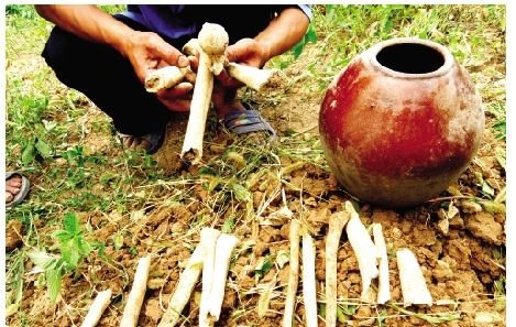 Bones of fallen KMT soldiers come to light
