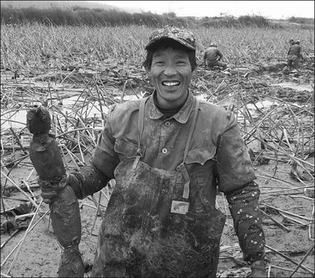 Getting to the root of it