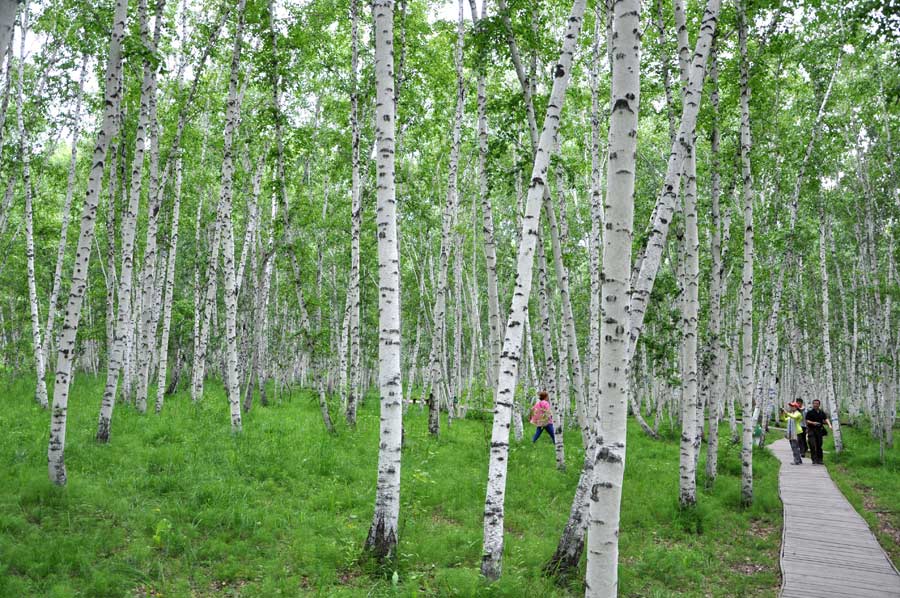 Take a deep breath in Ergune