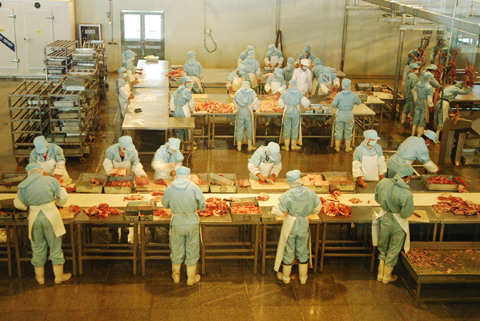 Inner Mongolia targets boom in mutton industry