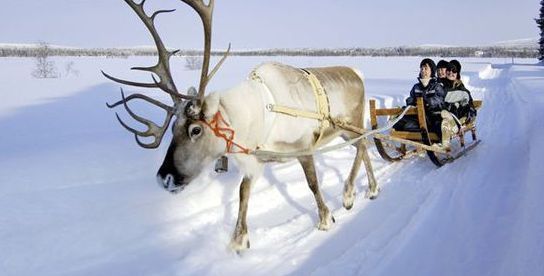 A tour of snow and ice