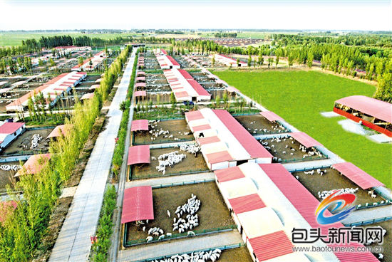 North China to promote husbandry