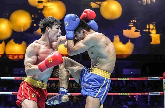 Sanshou fighters throw punches in Hohhot