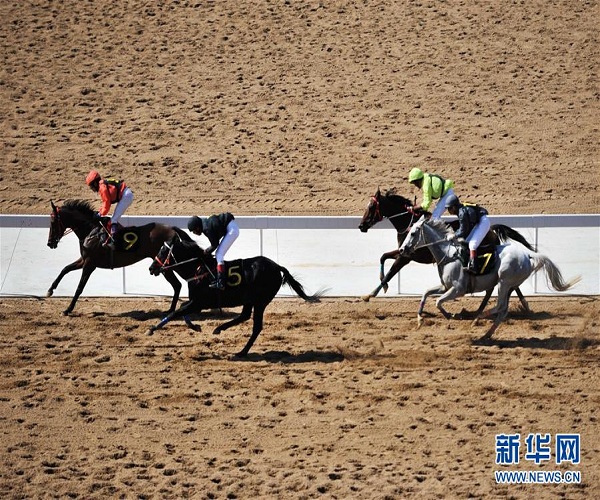 Hohhot hosts equestrianism and horseracing festival