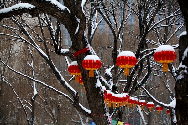 Spring snow blankets Hohhot