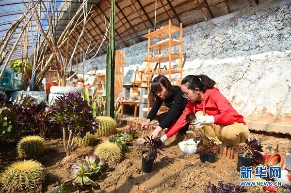 From the office to the greenhouse