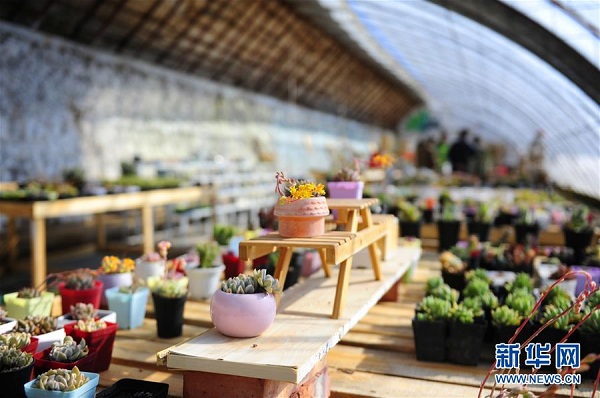 From the office to the greenhouse