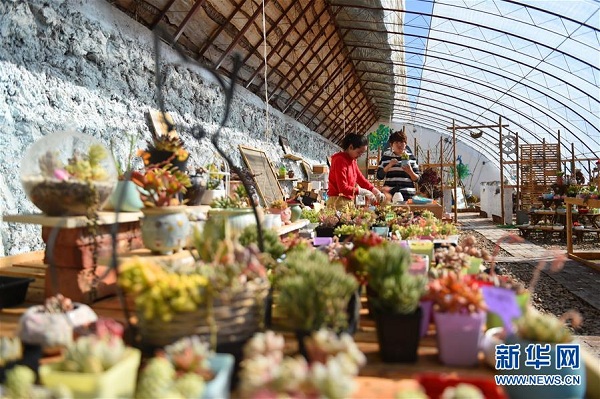From the office to the greenhouse