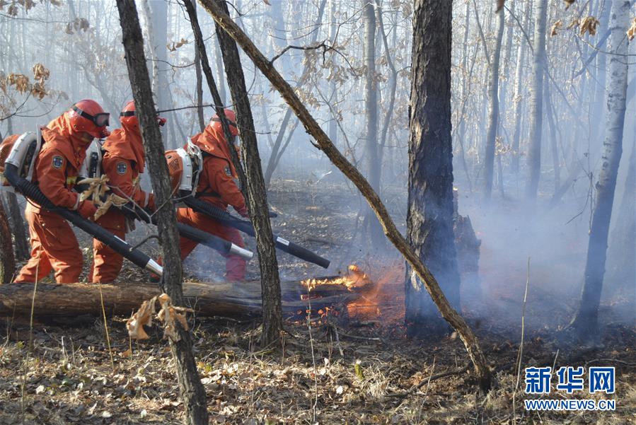 Fires extinguished in Yimuhe forest