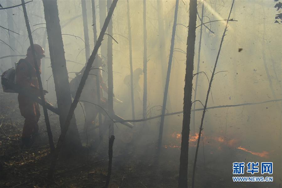 Fires extinguished in Yimuhe forest