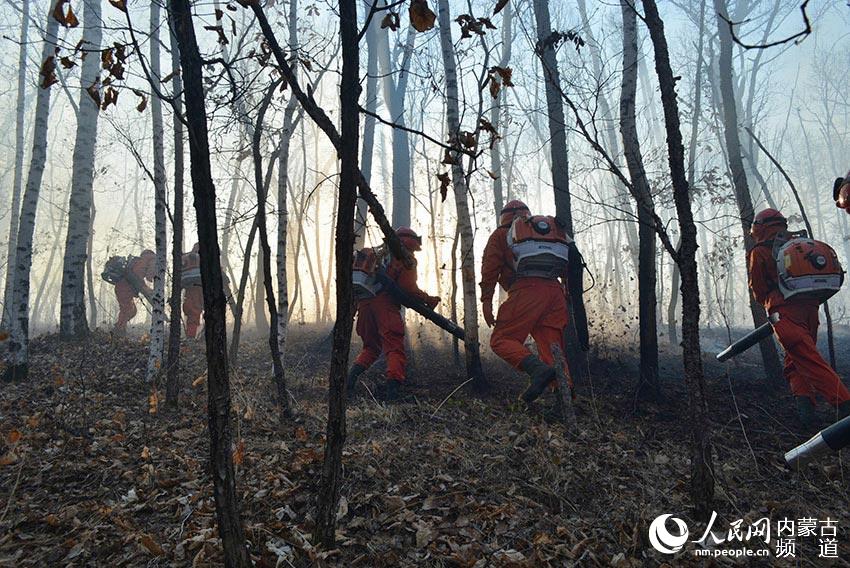 Fires extinguished in Yimuhe forest