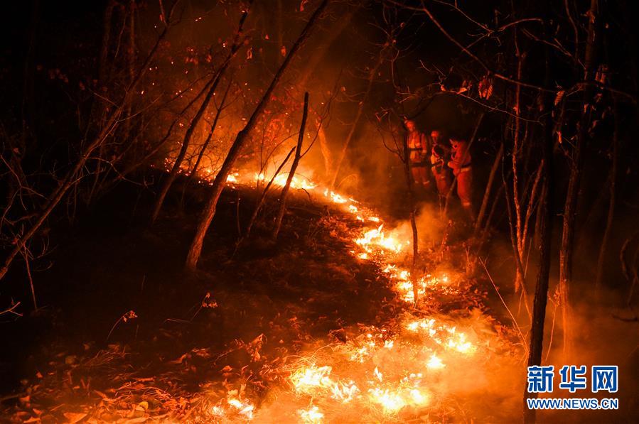 Firefighters battle Beidahe forest inferno