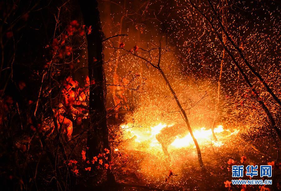 Firefighters battle Beidahe forest inferno