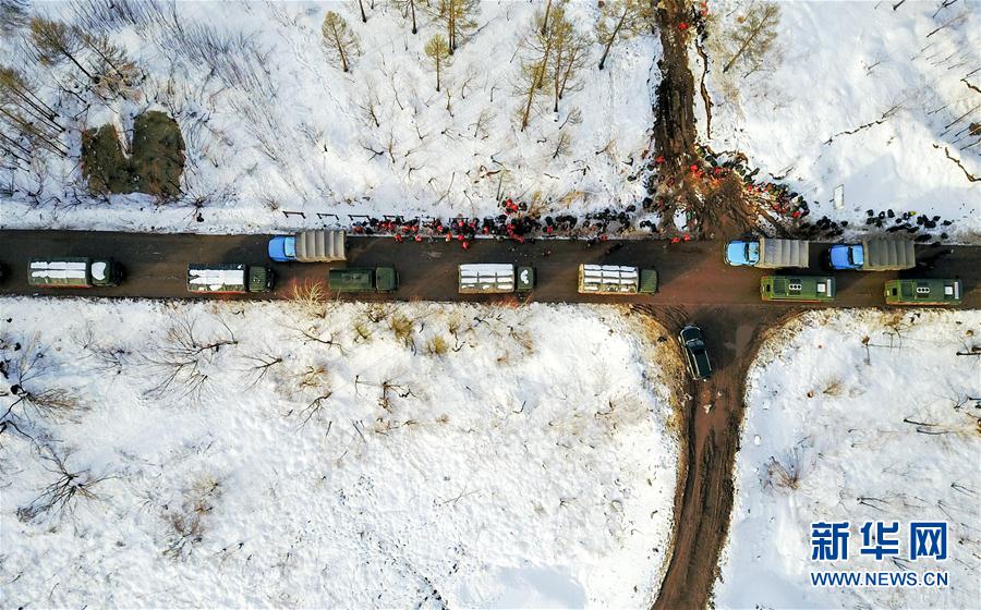 Firefighters withdraw from snow-covered forest