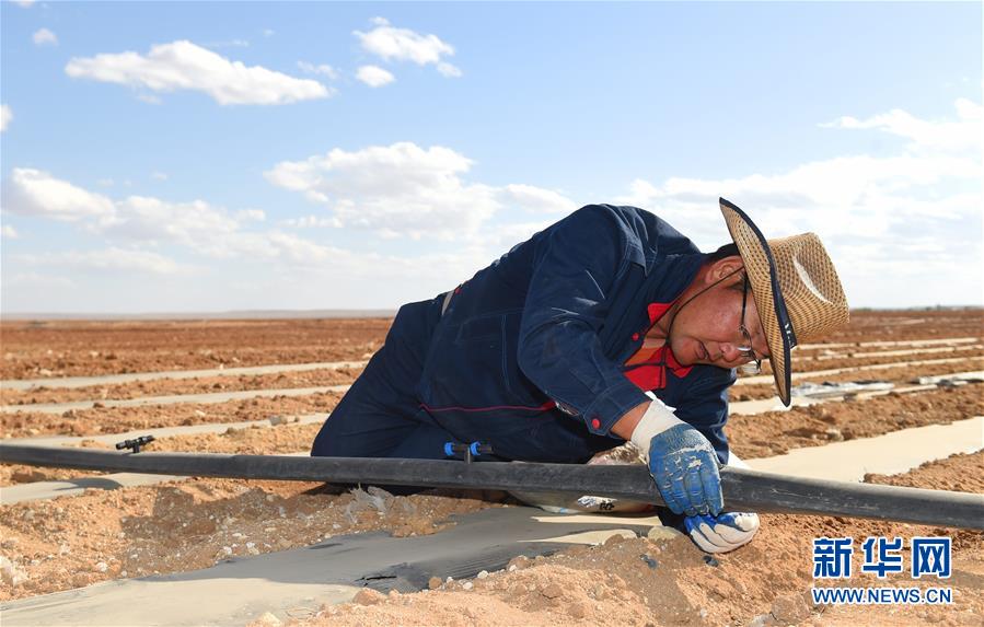 Sonid Right Banner strives to tackle poverty