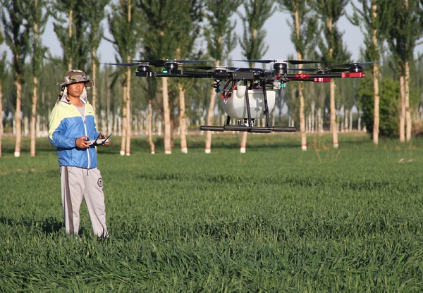 Modern technologies applied in Bayannur farm