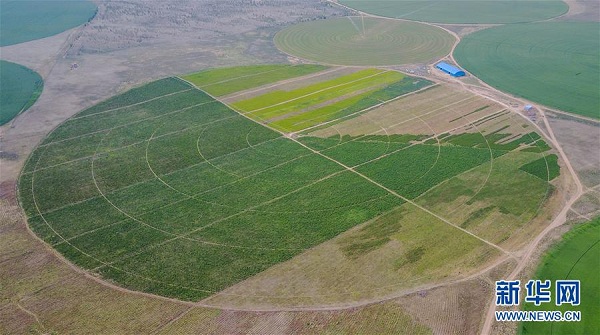 Ar Horqin turns on a green look