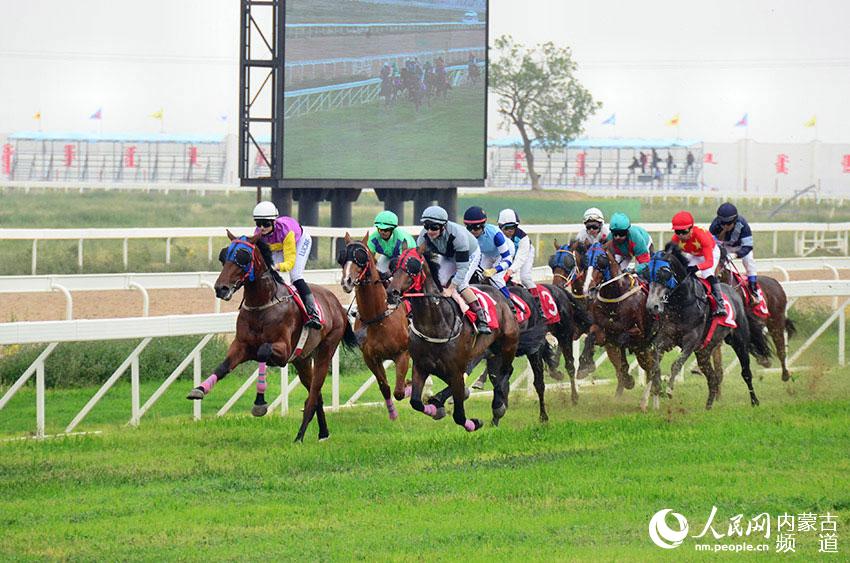 Horse racing held in Horqin grassland