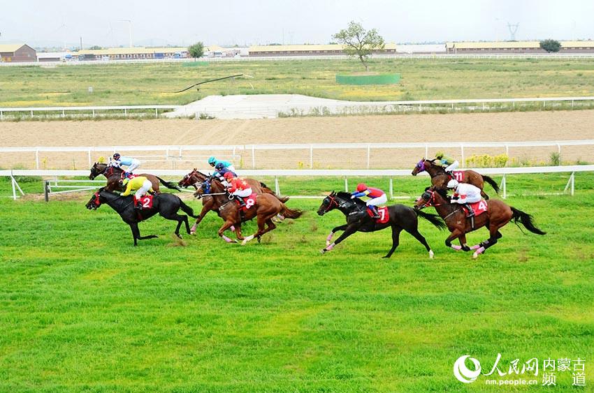 Horse racing held in Horqin grassland