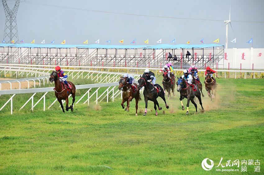 Horse racing held in Horqin grassland