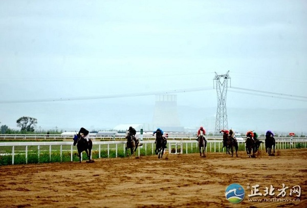 Horse racing grand prix comes to Hohhot