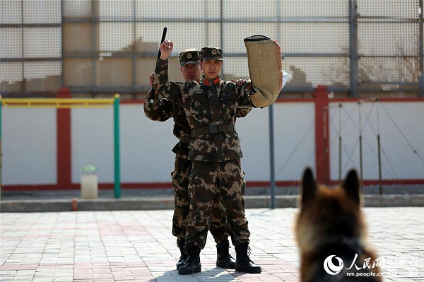 Patrol dogs help guard frontier