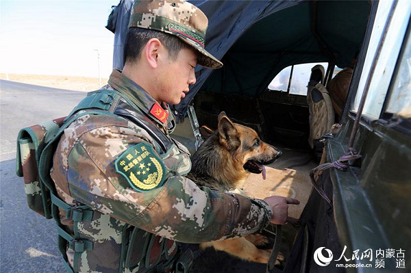 Patrol dogs help guard frontier