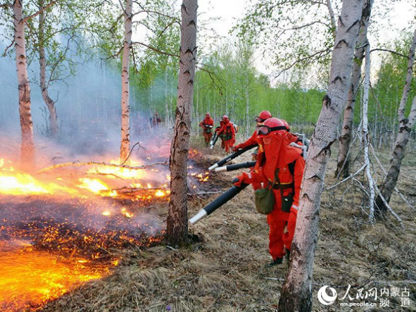 Firefighters weaken flames in northern forest