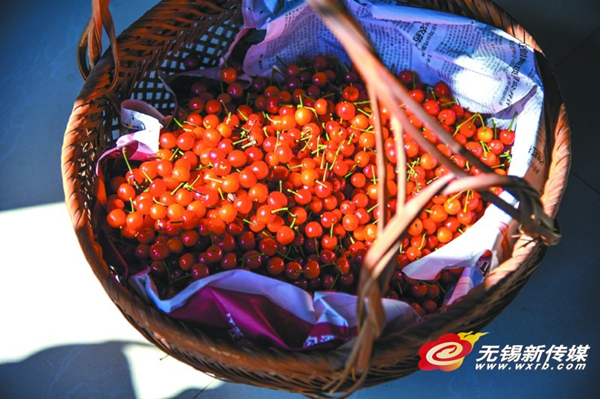 Top of the crops: summer brings peak in fruit and tea picking