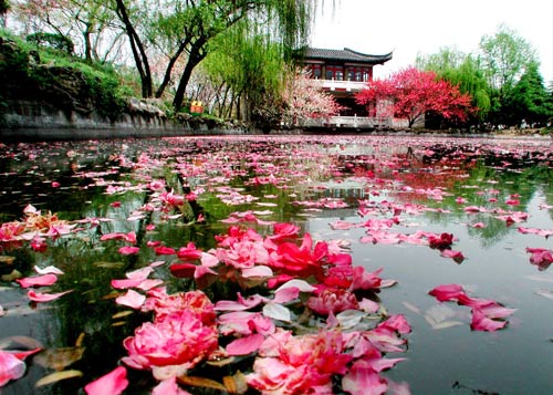 Beautiful Jiangsu, joyful tour attracts tourists