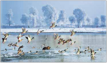 Jilin's winter wonderland