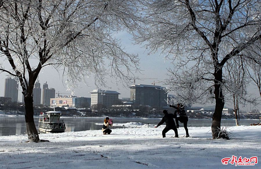 Jilin city turns into a wonderland of rime