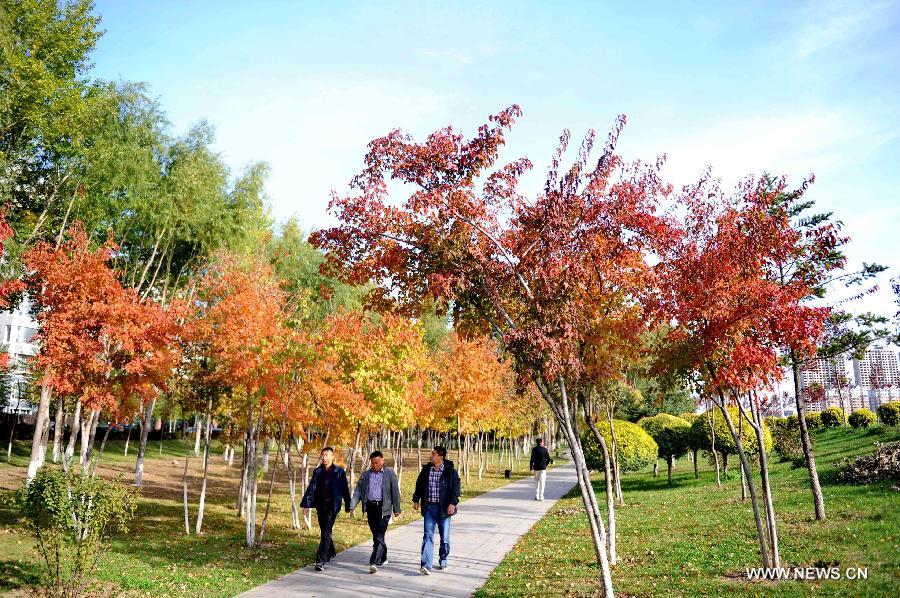 Jilin to witness obvious temperature drop after Cold Dew