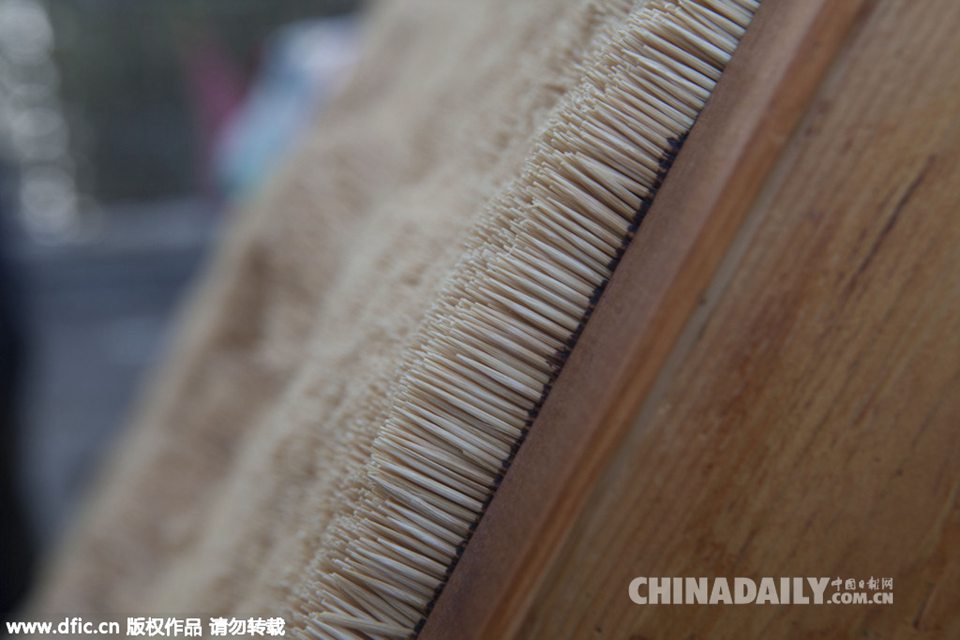 Man makes 3D running horse with toothpicks