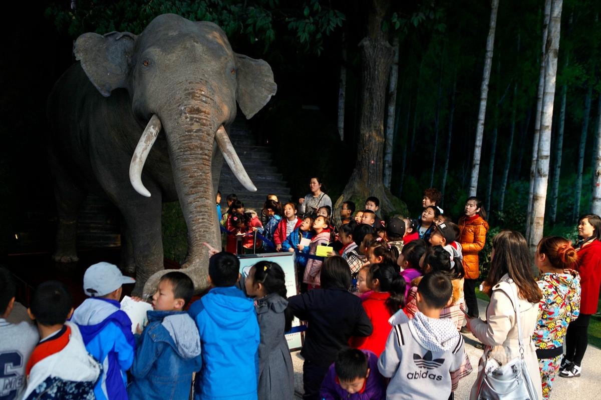 Asian elephant ‘reborn’ in Jilin